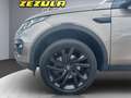 Land Rover Discovery Sport 2,0 SD4 4WD HSE Luxury Aut. Grau - thumbnail 20