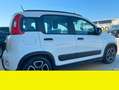 Fiat Panda - thumbnail 4