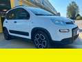 Fiat Panda - thumbnail 5