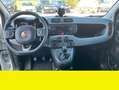 Fiat Panda - thumbnail 6