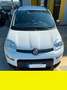 Fiat Panda - thumbnail 1