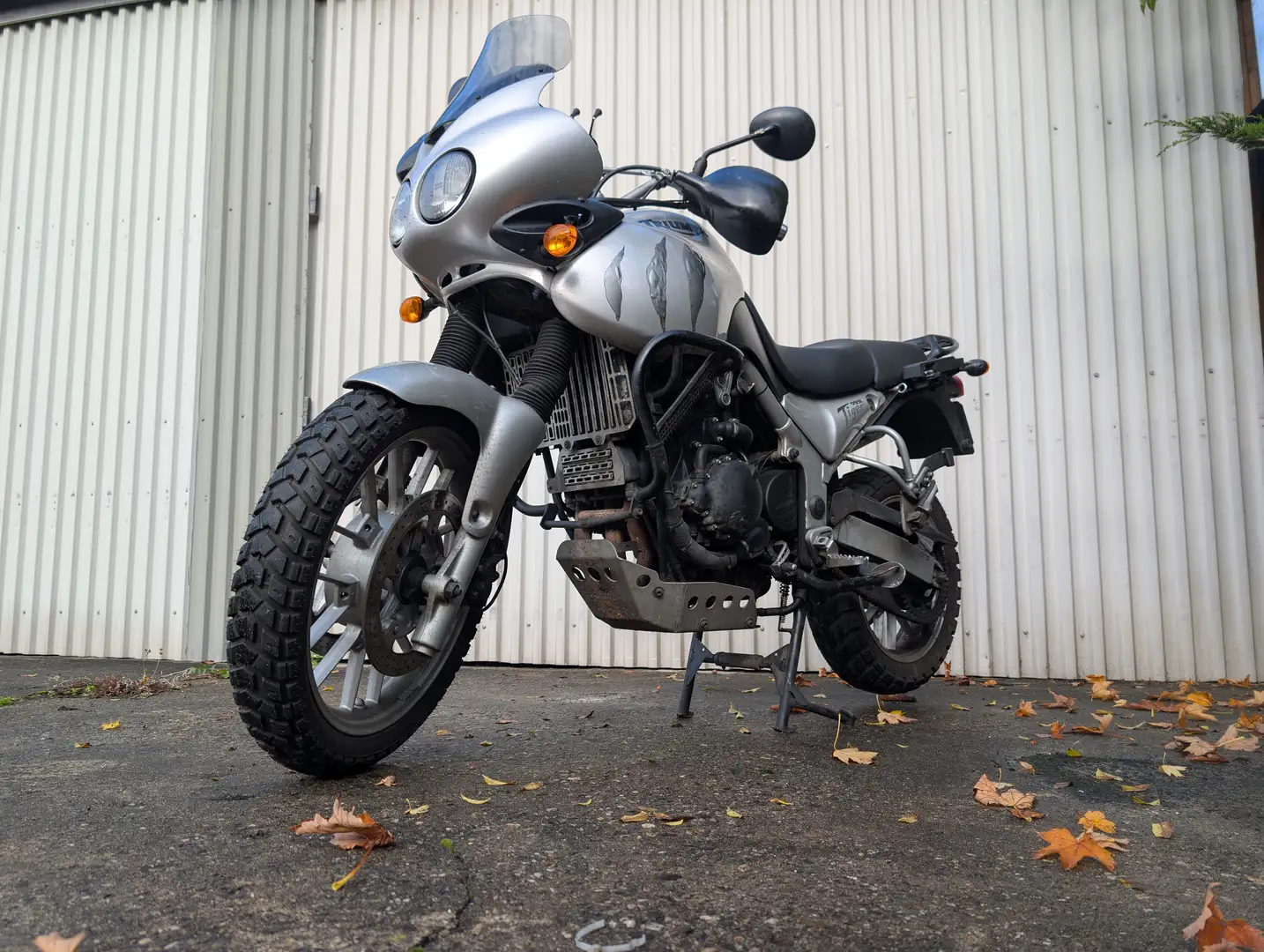 Triumph Tiger 955i Zilver - 2