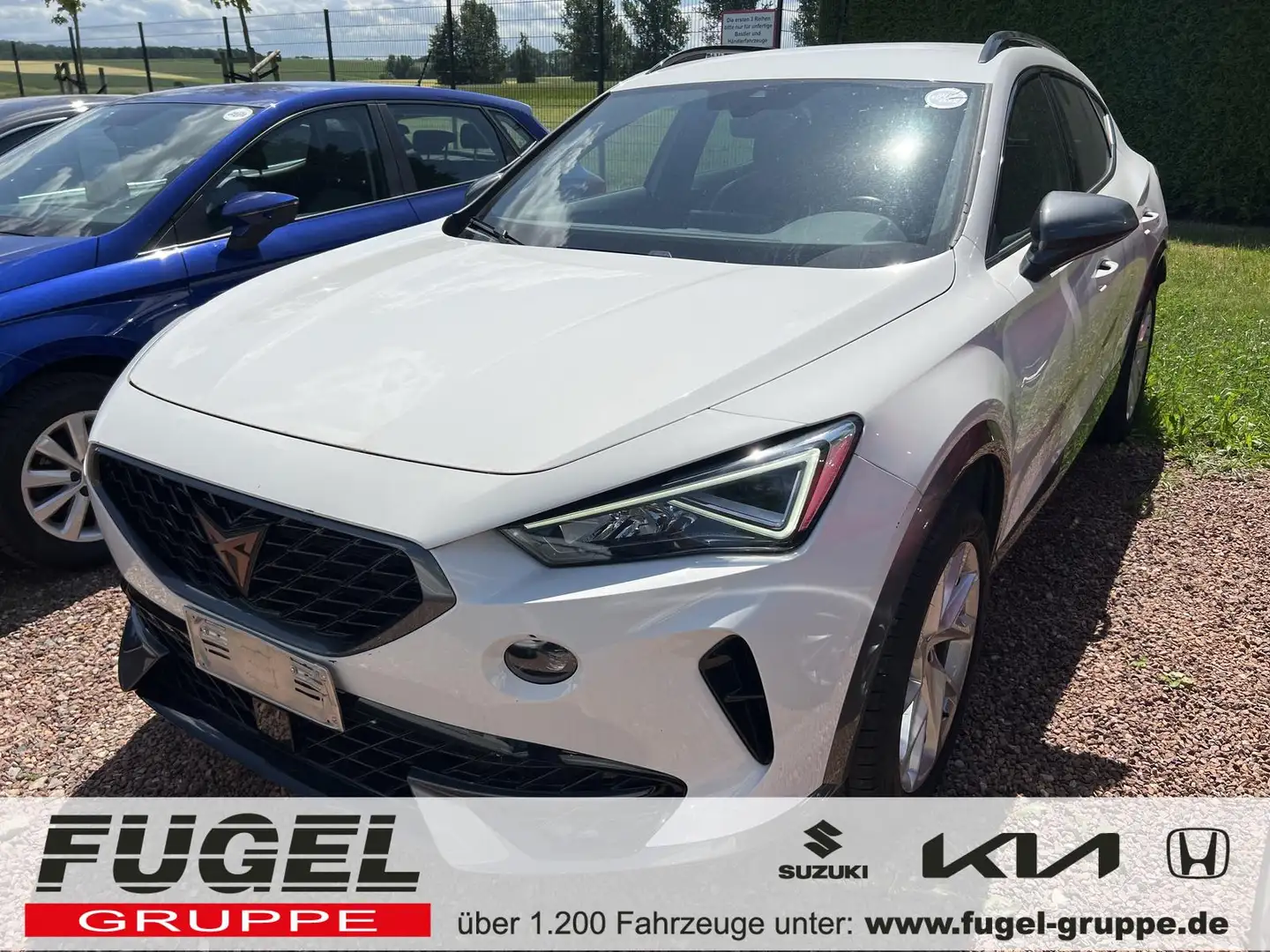 CUPRA Formentor 1.5 TSI LED|virt.Cock.|ACC|SHZ Weiß - 1