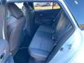 Toyota Corolla Touring Sports Black&White White - thumbnail 11