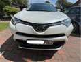 Toyota RAV 4 gepflegter Executive mit Garantie Weiß - thumbnail 6
