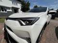 Toyota RAV 4 gepflegter Executive mit Garantie Weiß - thumbnail 3