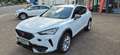 CUPRA Formentor AUTOMATIK MIT TAGESZULASSUNG !!! Blanc - thumbnail 1