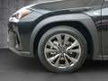 Lexus UX 300e UX 300h F Sport Design Norigrün Barzahlungspreis Schwarz - thumbnail 20