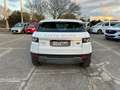 Land Rover Range Rover Evoque RR Evoque 2.2 TD4 5p. British Ed.Dyn. Blanc - thumbnail 6