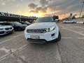 Land Rover Range Rover Evoque RR Evoque 2.2 TD4 5p. British Ed.Dyn. Blanc - thumbnail 38
