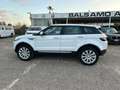 Land Rover Range Rover Evoque RR Evoque 2.2 TD4 5p. British Ed.Dyn. Blanc - thumbnail 8