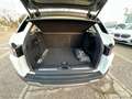 Land Rover Range Rover Evoque RR Evoque 2.2 TD4 5p. British Ed.Dyn. Blanc - thumbnail 39