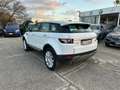 Land Rover Range Rover Evoque RR Evoque 2.2 TD4 5p. British Ed.Dyn. Blanc - thumbnail 7