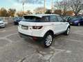 Land Rover Range Rover Evoque RR Evoque 2.2 TD4 5p. British Ed.Dyn. Blanc - thumbnail 5