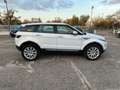 Land Rover Range Rover Evoque RR Evoque 2.2 TD4 5p. British Ed.Dyn. Blanc - thumbnail 4