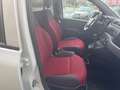 Fiat Panda van benzina metano 2016  6b prezzo finito Wit - thumbnail 10