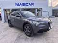 Alfa Romeo Stelvio Stelvio 2.2 t Super Q4 190cv auto my19 Grigio - thumbnail 1