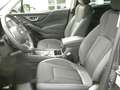 Subaru Forester 2.0ie Comfort Lineartronic LED Navi LHZ Gris - thumbnail 9