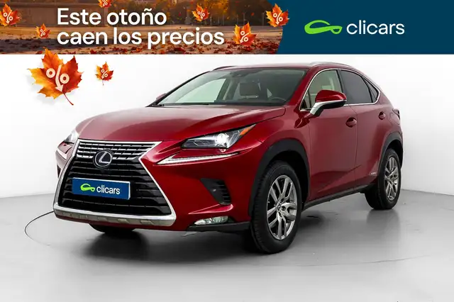2019 Lexus NX in Red for sale