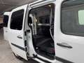 Renault Kangoo Maxi 4p Blue dCi 85 kW (115CV) Blanco - thumbnail 22
