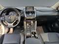 Lexus NX 300 h Luxury E-Four Hybrid Pano*Matrix*360°*SHZ Weiß - thumbnail 11