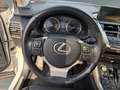 Lexus NX 300 h Luxury E-Four Hybrid Pano*Matrix*360°*SHZ Weiß - thumbnail 13