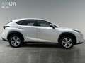 Lexus NX 300 h Luxury E-Four Hybrid Pano*Matrix*360°*SHZ Weiß - thumbnail 7