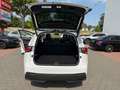 Lexus NX 300 h Luxury E-Four Hybrid Pano*Matrix*360°*SHZ Weiß - thumbnail 22