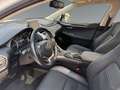 Lexus NX 300 h Luxury E-Four Hybrid Pano*Matrix*360°*SHZ Weiß - thumbnail 10