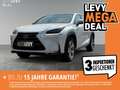 Lexus NX 300 h Luxury E-Four Hybrid Pano*Matrix*360°*SHZ Weiß - thumbnail 1