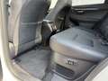 Lexus NX 300 h Luxury E-Four Hybrid Pano*Matrix*360°*SHZ Weiß - thumbnail 23