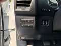 Lexus NX 300 h Luxury E-Four Hybrid Pano*Matrix*360°*SHZ Weiß - thumbnail 17