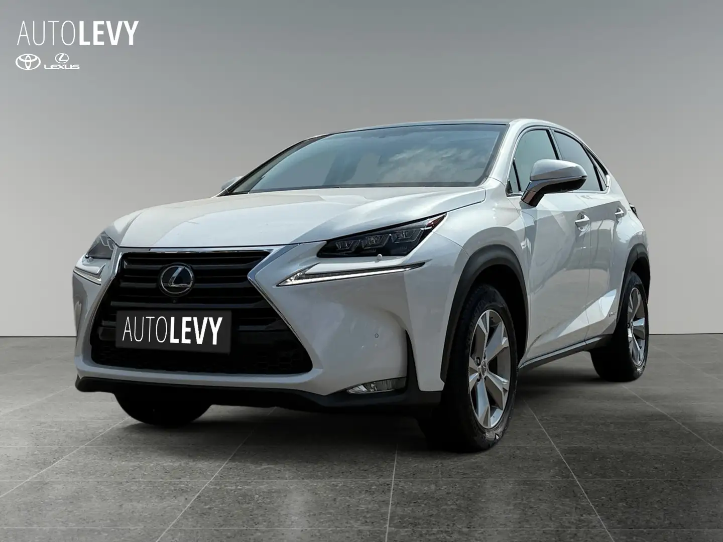 Lexus NX 300 h Luxury E-Four Hybrid Pano*Matrix*360°*SHZ Blanco - 2