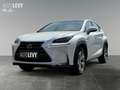 Lexus NX 300 h Luxury E-Four Hybrid Pano*Matrix*360°*SHZ Weiß - thumbnail 2