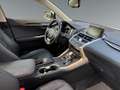 Lexus NX 300 h Luxury E-Four Hybrid Pano*Matrix*360°*SHZ Weiß - thumbnail 16