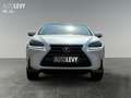 Lexus NX 300 h Luxury E-Four Hybrid Pano*Matrix*360°*SHZ Weiß - thumbnail 9