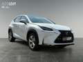 Lexus NX 300 h Luxury E-Four Hybrid Pano*Matrix*360°*SHZ Weiß - thumbnail 8