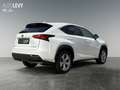 Lexus NX 300 h Luxury E-Four Hybrid Pano*Matrix*360°*SHZ Weiß - thumbnail 6