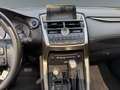 Lexus NX 300 h Luxury E-Four Hybrid Pano*Matrix*360°*SHZ Weiß - thumbnail 12