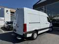 Mercedes-Benz Sprinter 317 CDI RWD L2/ TVAC/LIBRAMONT Blanco - thumbnail 3