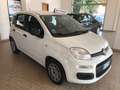 Fiat Panda Panda 1.2 Easy s Bianco - thumbnail 2
