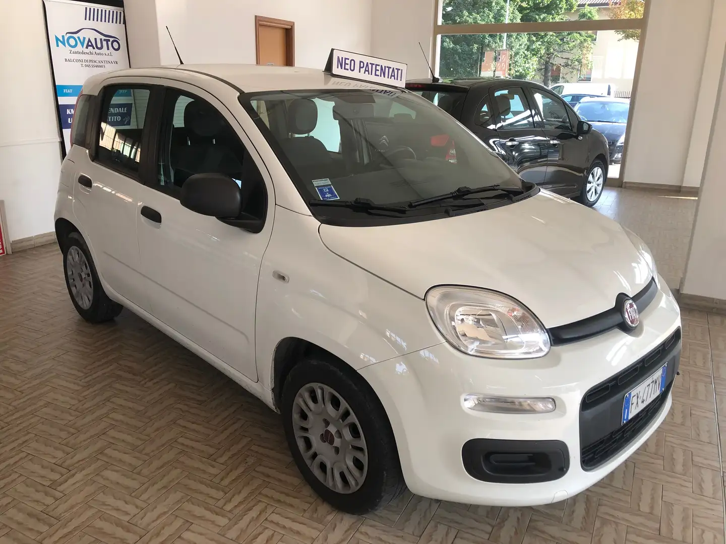 Fiat Panda Panda 1.2 Easy s Bianco - 2