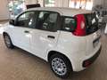 Fiat Panda Panda 1.2 Easy s Bianco - thumbnail 3