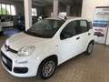 Fiat Panda Panda 1.2 Easy s Bianco - thumbnail 1