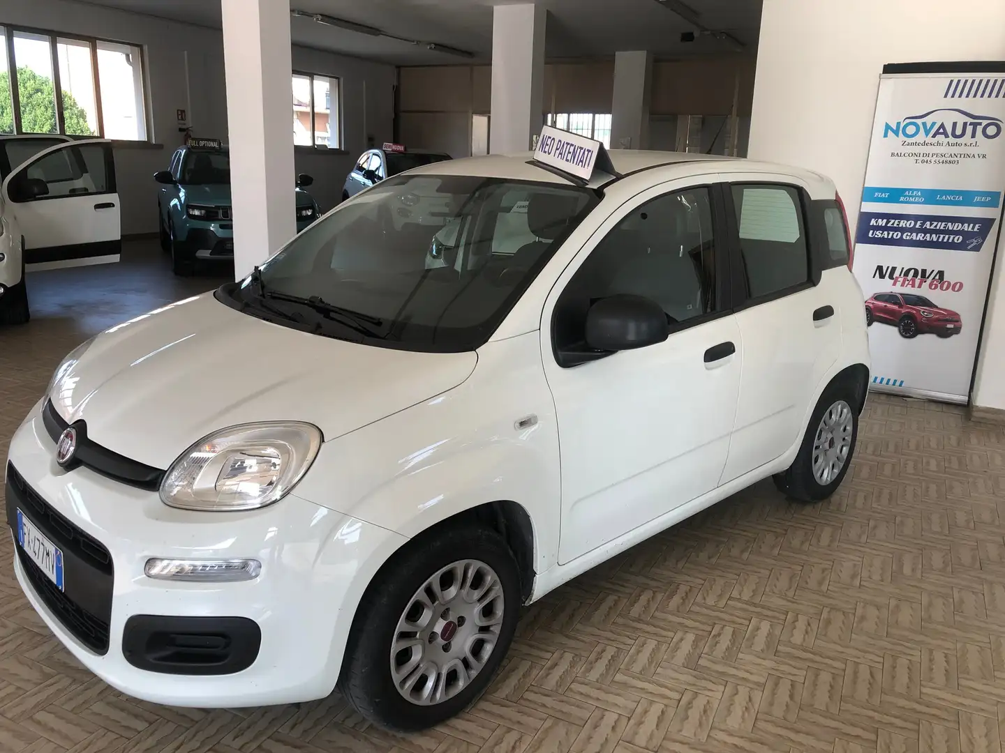 Fiat Panda Panda 1.2 Easy s Bianco - 1