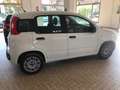 Fiat Panda Panda 1.2 Easy s Bianco - thumbnail 4