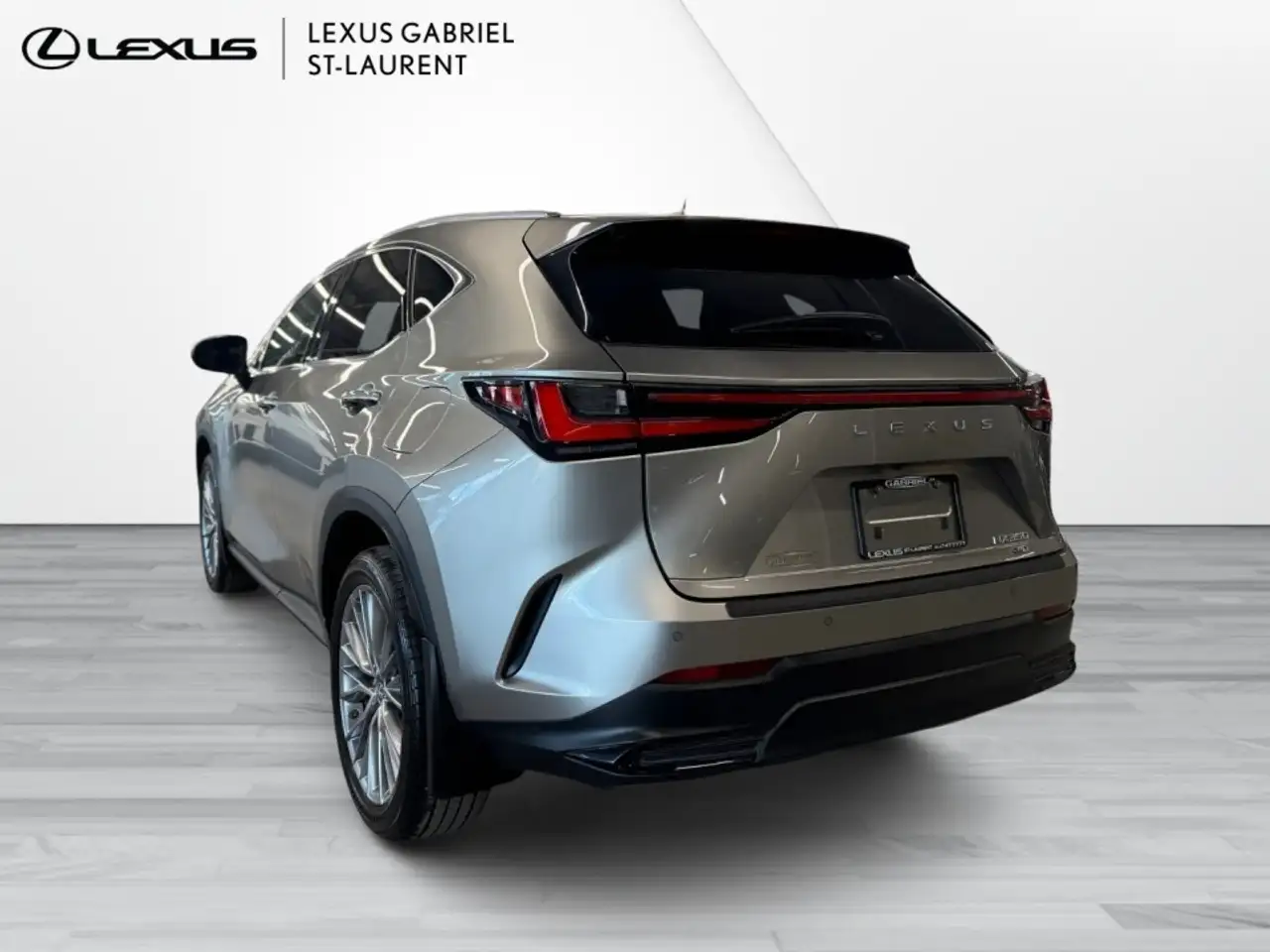 Lexus NX fotografie Lexus NX