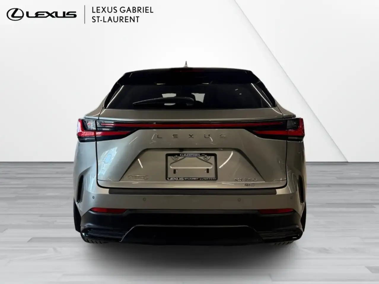 Lexus NX fotografie Lexus NX