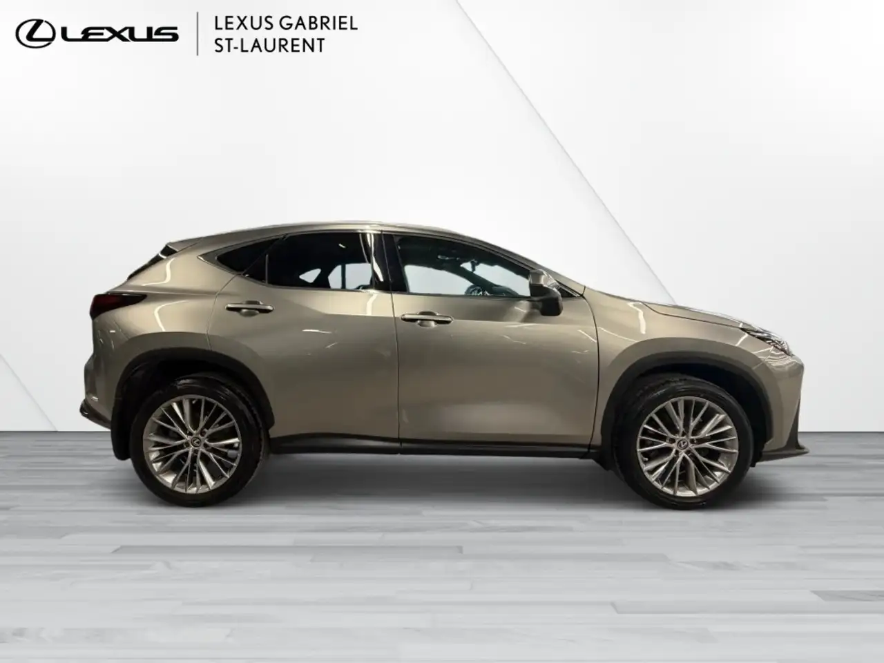 Lexus NX fotografie Lexus NX