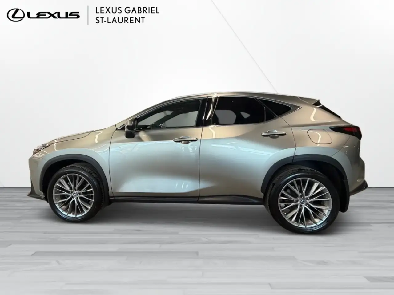 Lexus NX fotografie Lexus NX
